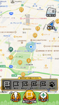볹